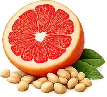 Cystiolla — extracto de semillas de pomelo